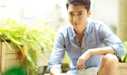 娱乐圈吃瓜爆料张丹峰,娱乐圈风波中的真相与反思