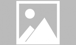 马 动漫,探寻动漫世界中的骏马传奇