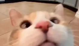 可爱视频,跟随可爱视频感受欢乐时光